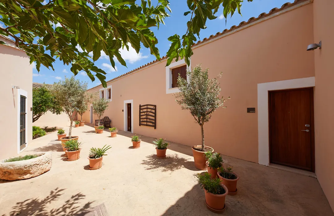 Zoetry Mallorca Wellness & Spa (Adults Only)-1
